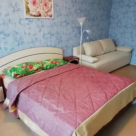Vgosti Skripka Apartment